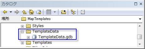 TemplateData フォルダー